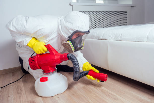 Best Flea Control Services  in Greenwood, IN