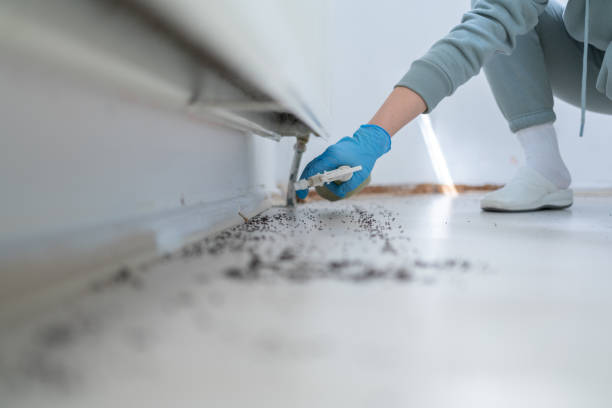Best Mosquito Control Services  in Greenwood, IN